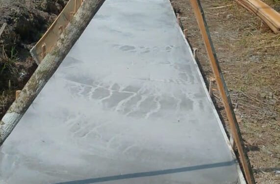 Kangkangi Undang-undang KIP NO 14: Ada apa dengan Sekdes Desa Lagan Ulu?