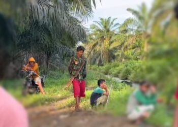 Meresahkan, Gerakan Warga Suku Anak Dalam di Lahan Koperasi BAM dan Kelompok Tani Karya Makmur Diduga Ditunggangi  