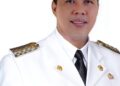 Hadapi Musim Karhutla, Romi Harap kan Camat Aktif di Tempat