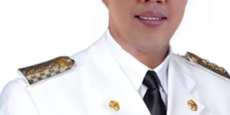 Hadapi Musim Karhutla, Romi Harap kan Camat Aktif di Tempat