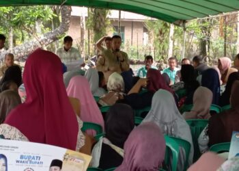 Hadir nya Cawabup Nomor Urut 2 Muslimin Tanja Disambut Yel yel Kemenangan Warga Pandan Sejahtera