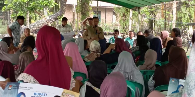 Hadir nya Cawabup Nomor Urut 2 Muslimin Tanja Disambut Yel yel Kemenangan Warga Pandan Sejahtera