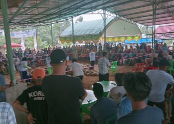 Semarak Untuk Kemenangan  Paslon 02, Kowardes Lambur Lomba kopek Kelapa.