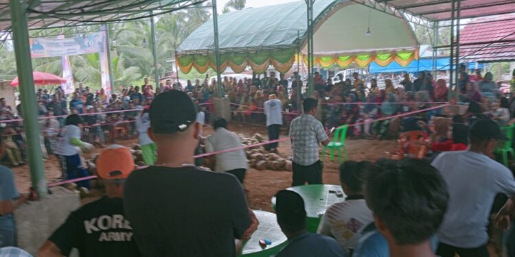Semarak Untuk Kemenangan  Paslon 02, Kowardes Lambur Lomba kopek Kelapa.
