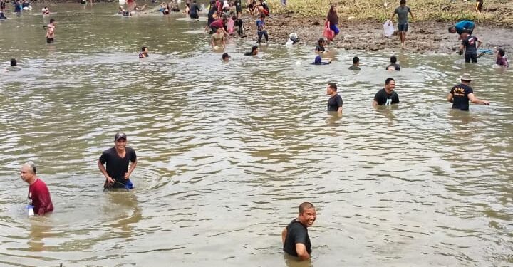 Jelang Berakhir nya Masa Jabatan Bupati Romi Gelar Pesta Rakyat Dengan Berkarang Ikan di Kolam