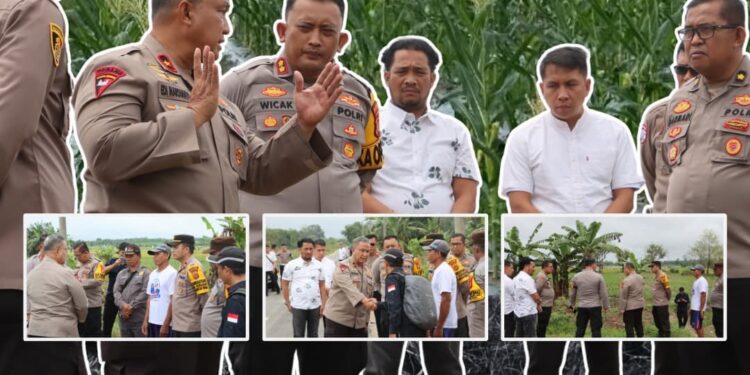 Kapolda Jambi Bersama Kapolres Tanjabtim,Pasti kan Upaya Menjaga Ketahanan Pangan Tanjabtimur Berjalan sesuai Harapan