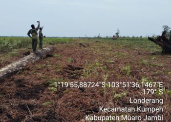 RLH Desak GAKKUM Kehutanan Tangkap Pemilik Alat Berat di Hutan Lindung Londerang Muaro Jambi