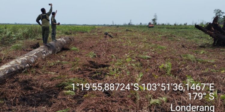 RLH Desak GAKKUM Kehutanan Tangkap Pemilik Alat Berat di Hutan Lindung Londerang Muaro Jambi